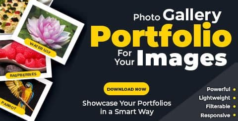 Portfolio Gallery